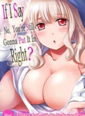 If-I-Say-No-Youre-Still-Gonna-Put-It-In-Right-193×278
